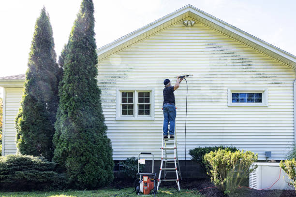 Best Pressure Washing Patio  in Foley, AL
