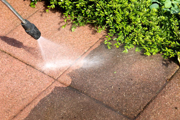 Best Roof Power Washing Services  in Foley, AL